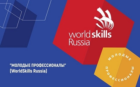 VI      (WorldSkills Russia)  2019  